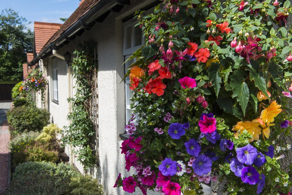 Piersland House 4*